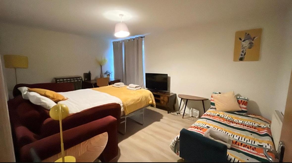 Spacious City Centre Flat Free Parking& Superfast Wifi Édimbourg Extérieur photo